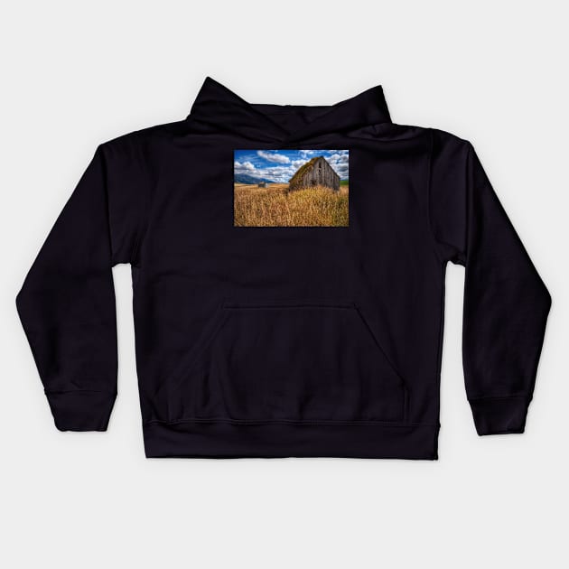 Remnants of Farm Life Kids Hoodie by StacyWhite